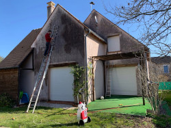 Traitement mérule sur charpente en bois  